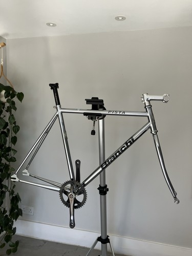 Bianchi pista 56cm fixed gear - 56cm,