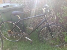 Select Vintage Black Hybrid