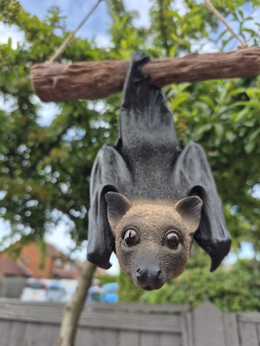Hanging fruit bat ornament - ornament, |
