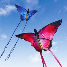 Beautiful Butterfly Kite –