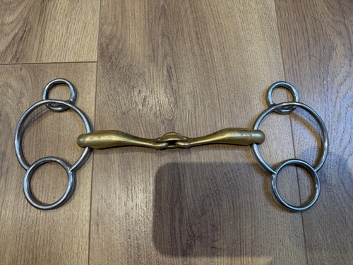 Neue schule turtle - schule,