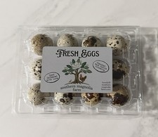 Celadon quail hatching eggs - hatching,