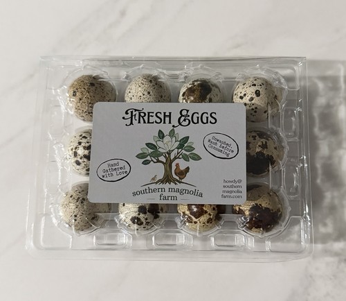 Celadon quail hatching - celadon,
