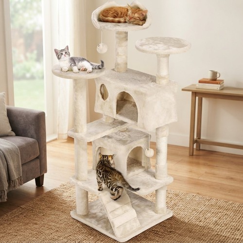 Luxurious cat climbing - luxurious,