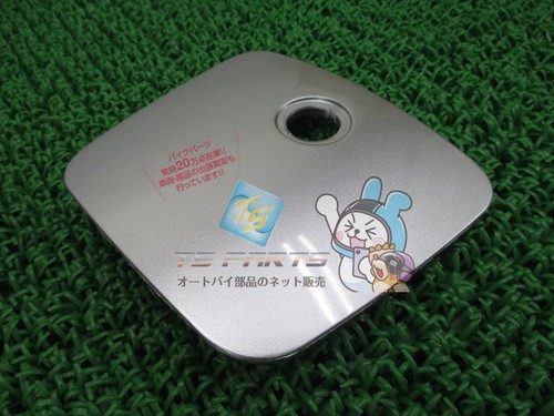 Silver shelter lid - shelter,