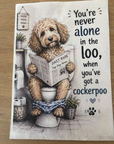 Rice paper cockapoo - rice,