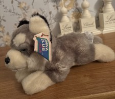 Anna club grey husky - *anna, puppy