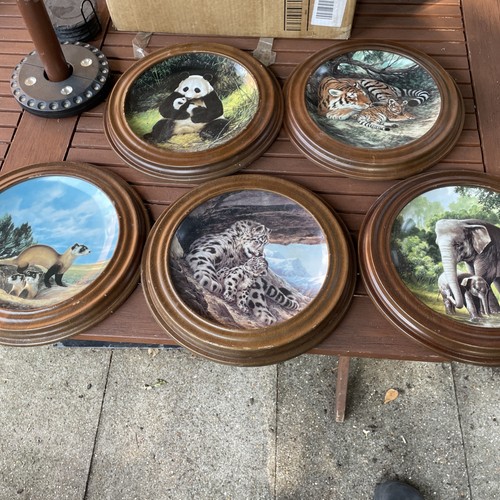Wildlife collectable plate - wildlife,