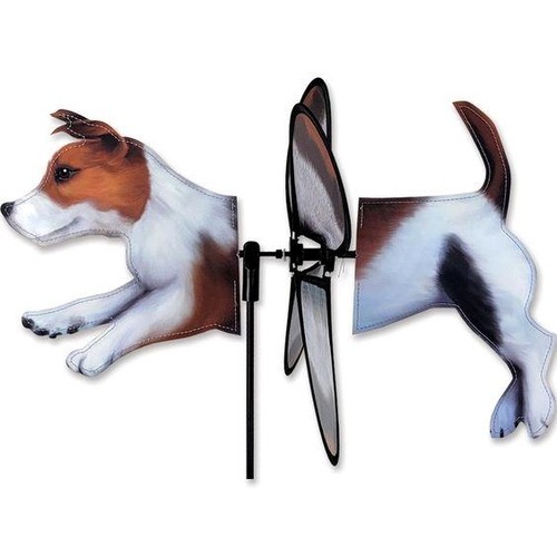 Jack russell terrier dog - russell,