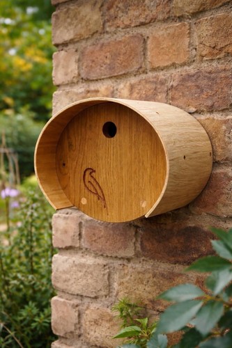 Oval oak bird box - oak,