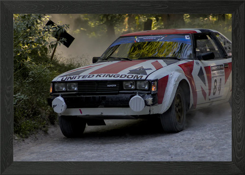 Rally car with - car,