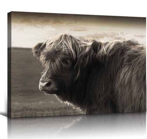 Highland cow print panoramic - print,