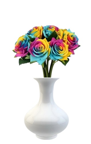 Rainbow rose real - real, touch