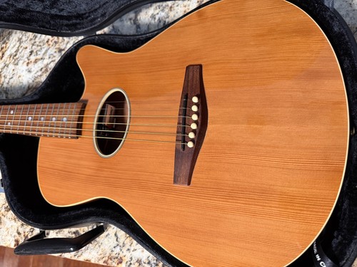 1993 peavey coustic guitar - 1993,