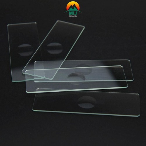 50pcs coverslips concave - 50pcs,