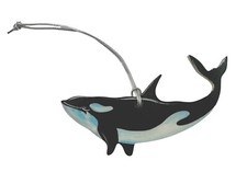 Orca Killer Whale Decoration