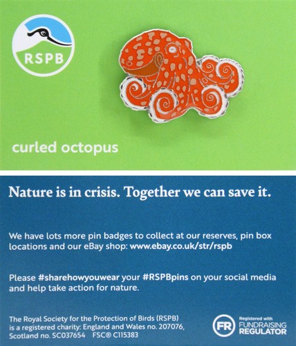 Rspb pin badge niic - rspb,
