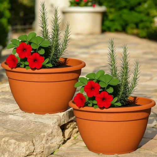 Set terracotta oval - of,