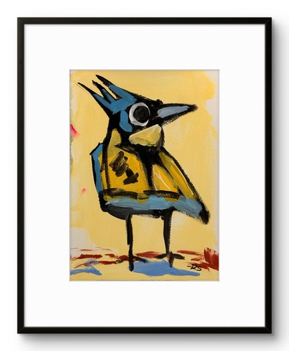 Colorful blue jay bird - colorful,