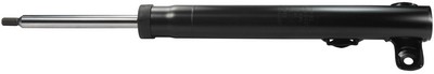 Front denckermann dsf025g - denckermann,