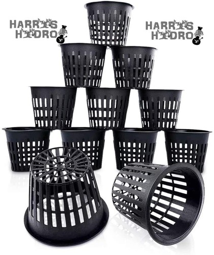 24pcs hydro plant - 24pcs,