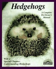 Hedgehogs: How to Take Care of