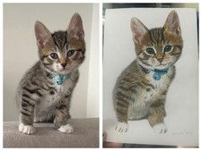 Custom A4 Pet Portrait Drawing