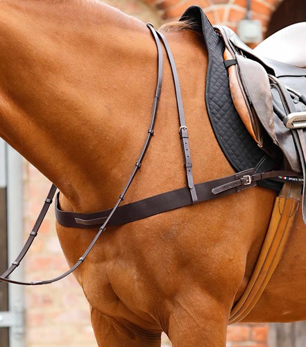 Premier equine zimella - premier,