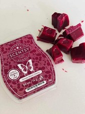 🆕 Scentsy Simply Black