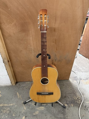 Rudi classic parlour acoustic - rudi,