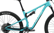 Frame Pivot Bearing Kit |