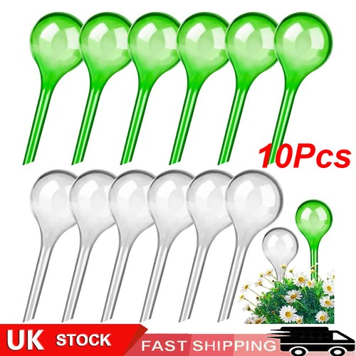 10pcs plant self - plant, watering