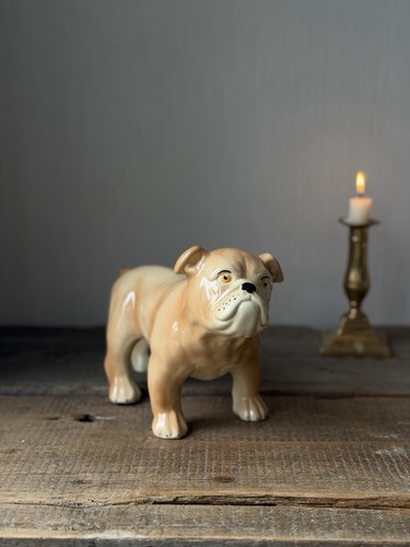 Vintage ceramic bulldog - vintage,