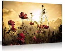 Red Flower Garden Summer