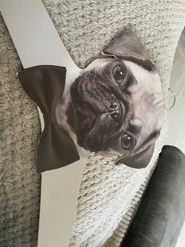 Pug coat hanger - coat,