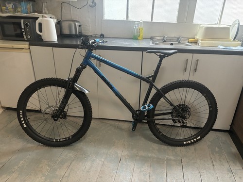 Ragley blue pig mountain bike - pig,