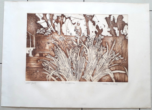Edwin dell ara rare print - dell,