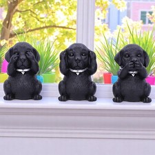 Black Labrador Puppies Three