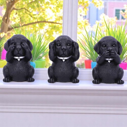 Black labrador puppies three - labrador,