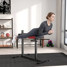 Back Extension Roman Chair