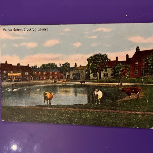 Norton green - norton,