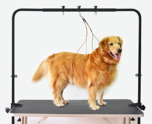 Overhead pet grooming - grooming, arm