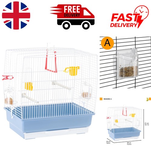 Elegant indoor bird - bird, cage