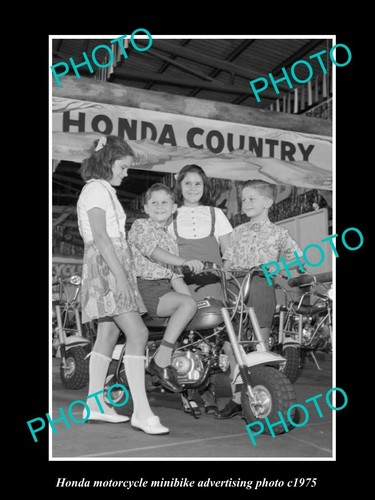 Old 8x6 historic photo - photo, of