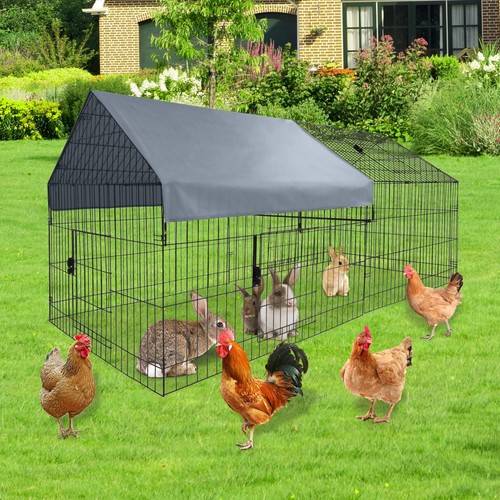 Walk chicken run - run, coop