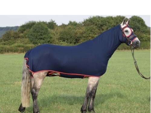 Belvoir rug company the - belvoir,