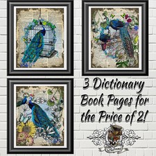 Beautiful Peacocks on Real Antique Dictionary Book Pages, Wall Decor Picture