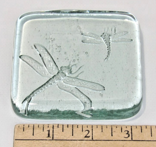 Art glass dragonfly - art, relief