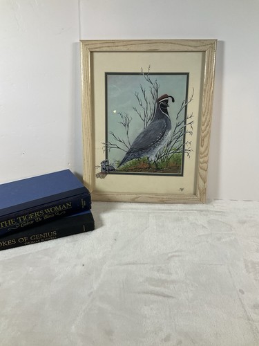 Gambel quail gerry r - quail,