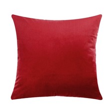 Plush Velvet Cushion Cover